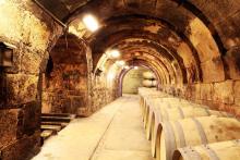 Bodegas